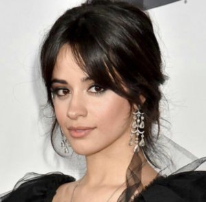 カミラカベロ画像